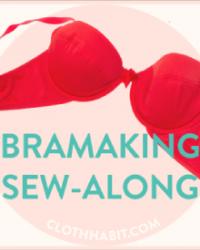 Bra sew-along....