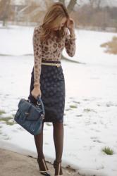 dots and leopard 