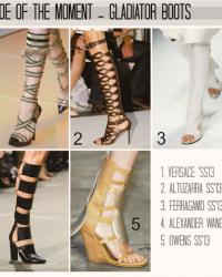 Shoe Trend 2013
