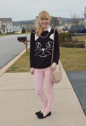 Cat Obsession