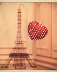 News du jour: heart shaped bag!