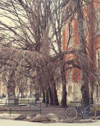Postcards from Krakow