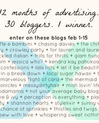 12 months of advertising on 30 blogs-giveaway! 