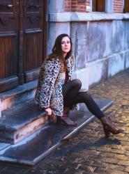 Leopard and Floral, Nighttime Photography