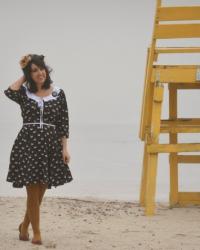 Swan on a Misty Beach - An eShakti Review
