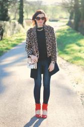 Leopard and Black Coat