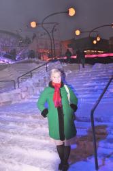 Une visite à Montréal