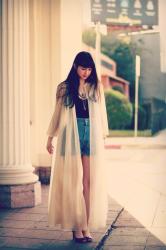 The Peignoir