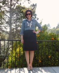 Chambray & Gingham