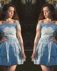 Off-The-Shoulder Alice in Wonderland / Marie Antoinette Dress