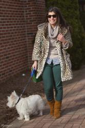 The leopard, the gingham, and the westie