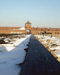 Auschwitz II-Birkenau, part 2