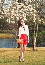 Cherry Blossom