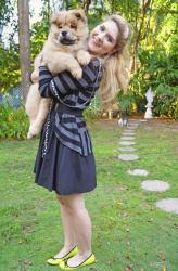 {Outfit}: Meet Chango, the most adorable puppy!