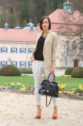 dog printed pants