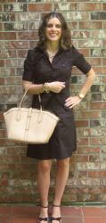What I Wore To Work Link Up: Shirtdress