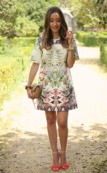 Pretty Printed Dress