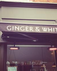Ginger And White 