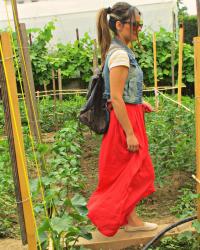 The Farmer's life