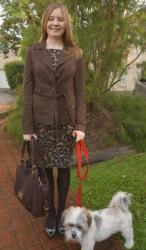 Black and Brown: Trench, Printed Dress, Marc Jacobs Fran | Red Knit, Jeans, Converse, Alexander Wang Rocco