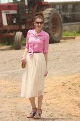 Farm Gingham