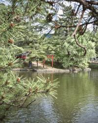 Japan Photo Diary 2