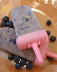 Coconut Banana Blueberry Cinnamon Popsicles