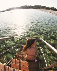 BLUE MARLIN