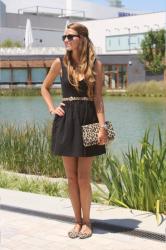 Animal LBD