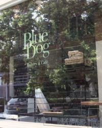 Blue Dog Bakery & Cafe