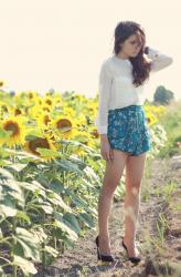 Sunflower field