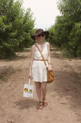 Peach Pickin'