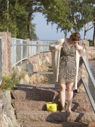 Leopard in Sunshine