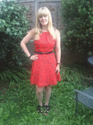 What I Wore Today: Little Red Bird-Print Dress