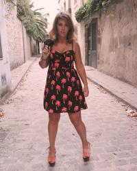 Palmas ¦¦¦¦ Palmas