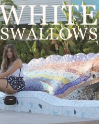 WHITE SWALLOWS