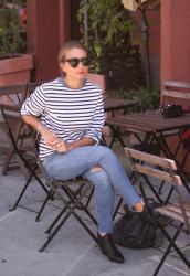 frenchie in brooklyn