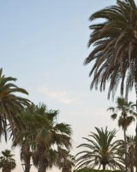 {Travel Diary} Antibes at Sunset
