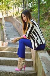 Bold Stripes, Bright Trouser