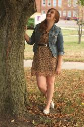 Leaves and Fall and Things