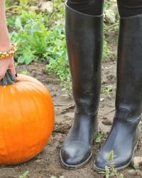 Glamour at the Pumpkin Patch