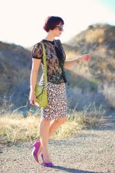 Leopard and Lace