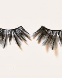 FEATHERS IN MY LASHES