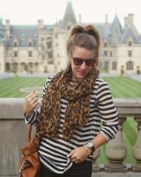 A Biltmore Visit +Giveaway