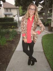 Leopard + Four Eyes