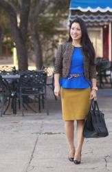 Color Brigade / Cobalt Blue + Mustard + Leopard