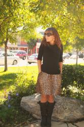 Mission #19, Day 3--Leopard Skirt