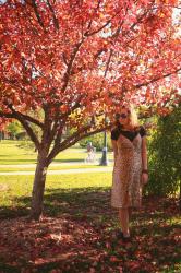 Mission #19, Day 5--Leopard Dress