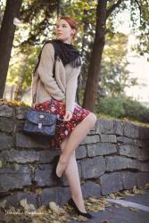 When Autumn made its glorious appearance..