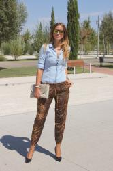 Denim+Animal